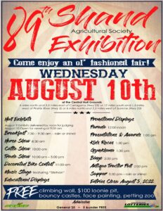 Shand Fair @ Central Hall Grounds